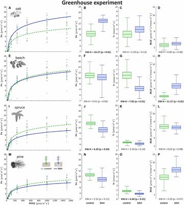 Potential of hydrogel treatment in forest regeneration: impact on growth and vitality of Central European tree species